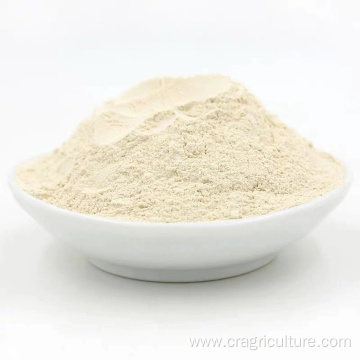 Chinese New Crop Best Garlic Powder